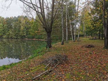Terrains de loisirs bois etangs a vendre Vailly-sur-Aisne 02370 Aisne 22421 m2  89250 euros