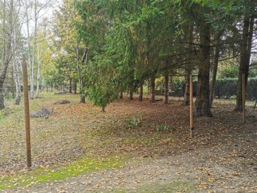 Terrains de loisirs bois etangs a vendre Vailly-sur-Aisne 02370 Aisne 22421 m2  89250 euros