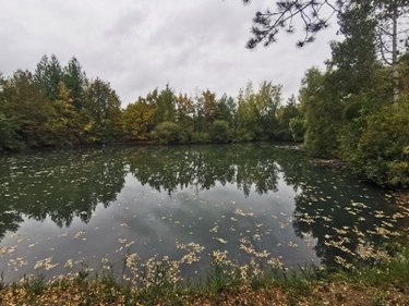 Terrains de loisirs bois etangs a vendre Vailly-sur-Aisne 02370 Aisne 22421 m2  89250 euros