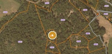 Terrains de loisirs bois etangs a vendre Saint-Amandin 15190 Cantal  40000 euros