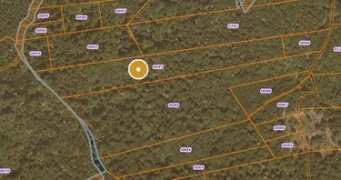 Terrains de loisirs bois etangs a vendre Saint-Amandin 15190 Cantal  40000 euros