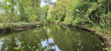 Terrains de loisirs bois etangs a vendre Saint-Célerin 72110 Sarthe 6155 m2  22640 euros
