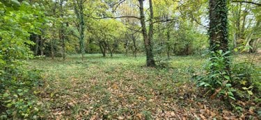 Terrains de loisirs bois etangs a vendre Saint-Célerin 72110 Sarthe 6155 m2  22640 euros