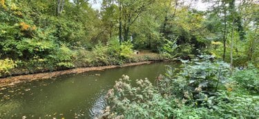 Terrains de loisirs bois etangs a vendre Saint-Célerin 72110 Sarthe 6155 m2  22640 euros