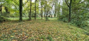 Terrains de loisirs bois etangs a vendre Saint-Célerin 72110 Sarthe 6155 m2  22640 euros