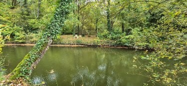 Terrains de loisirs bois etangs a vendre Saint-Célerin 72110 Sarthe 6155 m2  22640 euros