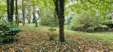 Terrains de loisirs bois etangs a vendre Saint-Célerin 72110 Sarthe 6155 m2  22640 euros
