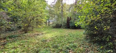 Terrains de loisirs bois etangs a vendre Saint-Célerin 72110 Sarthe 6155 m2  22640 euros