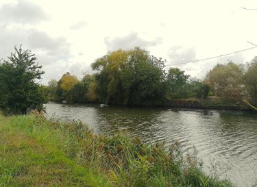 Maison a vendre Marans 17230 Charente-Maritime 136 m2 5 pièces 291000 euros