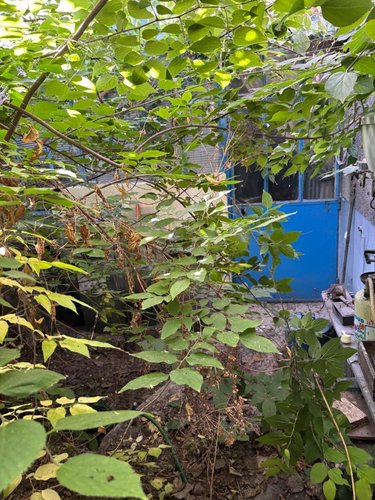 Maison a vendre Reims 51100 Marne 30 m2 2 pièces 55800 euros