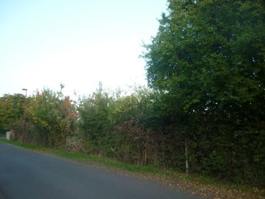 Terrain a batir a vendre Champeix 63320 Puy-de-Dôme 1076 m2  96900 euros