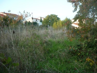 Terrain a batir a vendre Champeix 63320 Puy-de-Dôme 1076 m2  96900 euros
