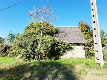 Bien agricole a vendre Monestier-Merlines 19340 Corrèze  6000 euros