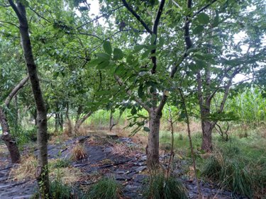 Maison a vendre Luitré-Dompierre 35133 Ille-et-Vilaine 100 m2 1 pièce 57180 euros