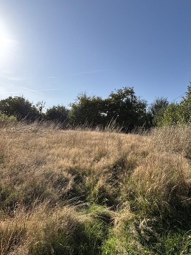 Maison a vendre Saint-Sauveur-des-Landes 35133 Ille-et-Vilaine 60 m2 2 pièces 72770 euros