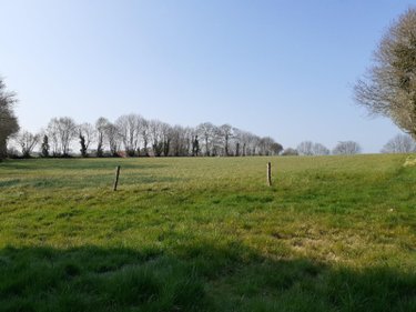 Maison a vendre La Dorée 53190 Mayenne 59 m2 3 pièces 187130 euros