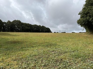 Maison a vendre La Dorée 53190 Mayenne 59 m2 3 pièces 187130 euros