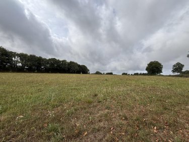 Maison a vendre La Dorée 53190 Mayenne 59 m2 3 pièces 187130 euros