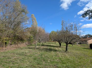 Terrain a batir a vendre Créon 33670 Gironde 1513 m2  156000 euros