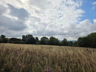 Bien agricole a vendre Villaines-la-Juhel 53700 Mayenne  95111 euros