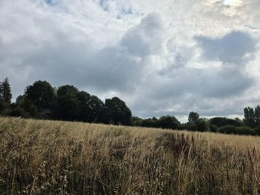 Bien agricole a vendre Villaines-la-Juhel 53700 Mayenne  95111 euros