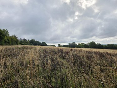 Bien agricole a vendre Villaines-la-Juhel 53700 Mayenne  95111 euros