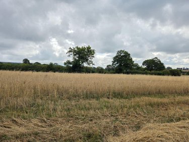 Bien agricole a vendre Villaines-la-Juhel 53700 Mayenne  95111 euros