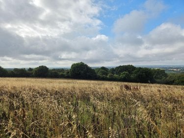 Bien agricole a vendre Villaines-la-Juhel 53700 Mayenne  95111 euros