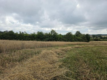 Bien agricole a vendre Villaines-la-Juhel 53700 Mayenne  95111 euros