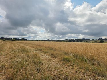 Bien agricole a vendre Villaines-la-Juhel 53700 Mayenne  95111 euros