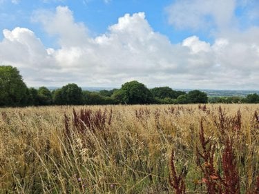 Bien agricole a vendre Villaines-la-Juhel 53700 Mayenne  95111 euros