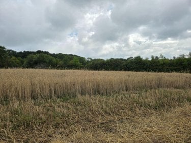 Bien agricole a vendre Villaines-la-Juhel 53700 Mayenne  95111 euros