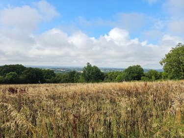 Bien agricole a vendre Villaines-la-Juhel 53700 Mayenne  95111 euros