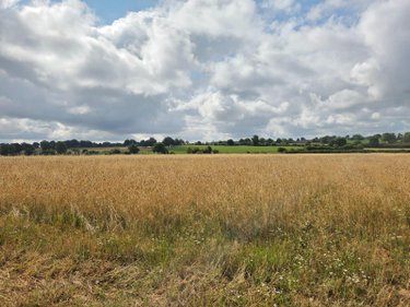 Bien agricole a vendre Villaines-la-Juhel 53700 Mayenne  95111 euros
