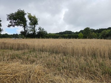 Bien agricole a vendre Villaines-la-Juhel 53700 Mayenne  95111 euros