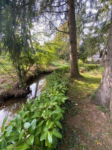 Maison a vendre Chailland 53420 Mayenne 63 m2 4 pièces 91630 euros