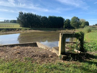 Terrains de loisirs bois etangs a vendre Châtillon-sur-Indre 36700 Indre 15196 m2  27700 euros