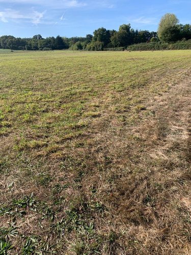 Terrains de loisirs bois etangs a vendre Châtillon-sur-Indre 36700 Indre 15196 m2  27700 euros