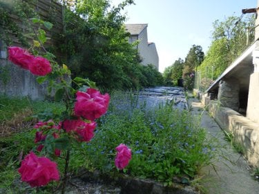 Maison a vendre Marigny-le-Lozon 50570 Manche 78 m2 4 pièces 133937 euros