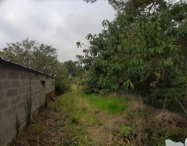 Maison a vendre Pluméliau-Bieuzy 56930 Morbihan 110 m2 4 pièces 177900 euros