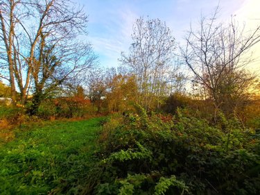 Bien agricole a vendre Égliseneuve-des-Liards 63490 Puy-de-Dôme  34000 euros