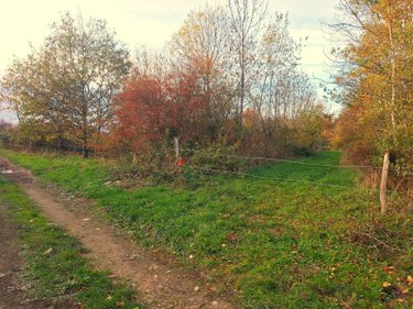 Bien agricole a vendre Égliseneuve-des-Liards 63490 Puy-de-Dôme  34000 euros