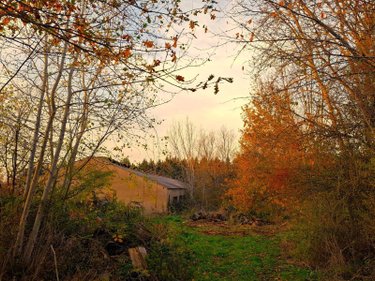 Bien agricole a vendre Égliseneuve-des-Liards 63490 Puy-de-Dôme  34000 euros