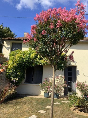 Maison a vendre Ardilleux 79110 Deux-Sèvres 103 m2 5 pièces 131850 euros