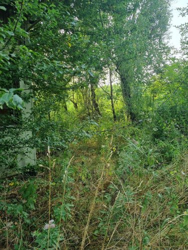 Terrains de loisirs bois etangs a vendre Sainte-Marie-Kerque 62370 Pas-de-Calais 276 m2  4500 euros