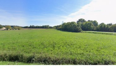 Terrain a batir a vendre Paulnay 36290 Indre 13745 m2  18400 euros