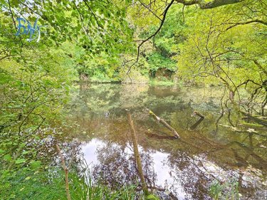 Maison a vendre Quimperlé 29300 Finistère 240 m2 6 pièces 416000 euros