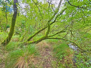 Maison a vendre Mellac 29300 Finistère 240 m2 6 pièces 416000 euros