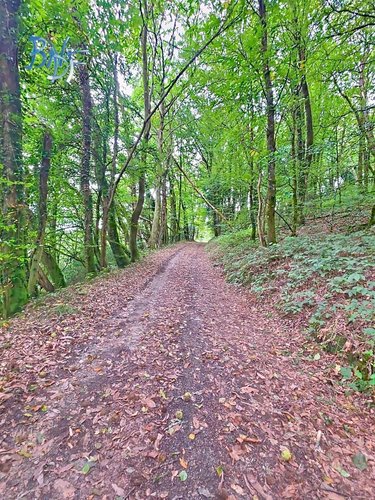 Maison a vendre Mellac 29300 Finistère 240 m2 6 pièces 416000 euros