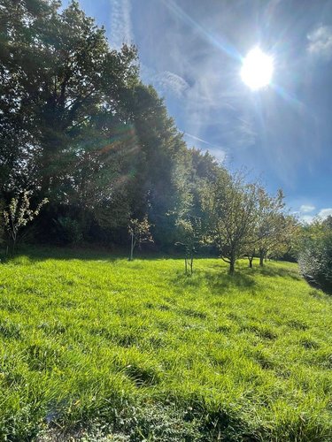 Terrains de loisirs bois etangs a vendre Saint-Ulphace 72320 Sarthe 1460 m2  12000 euros